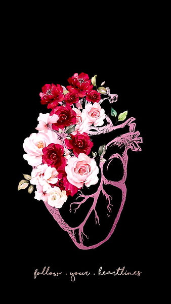6 Anatomical Heart  heart anatomy HD phone wallpaper  Pxfuel