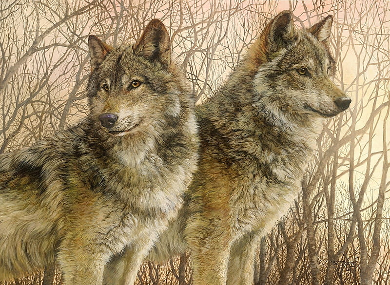 Wolves, art, luminos, painting, bonnie marris, lup, wolf, pictura, animal, HD wallpaper