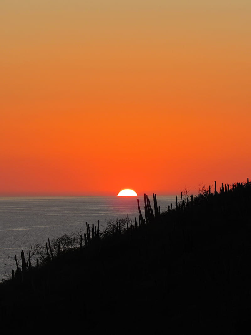 sea, sunset, sun, horizon, dark, HD phone wallpaper
