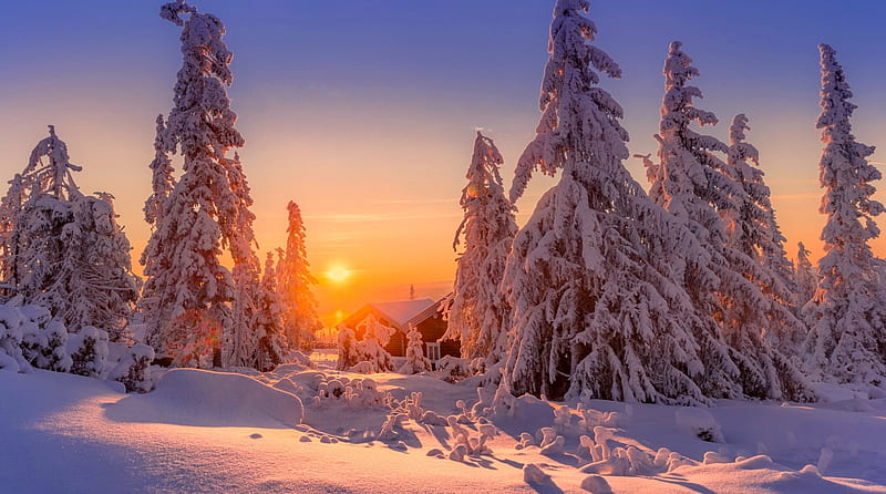 Winter sunset, mountain, sun, fiery, bonito, sunset, sky, trees, winter ...