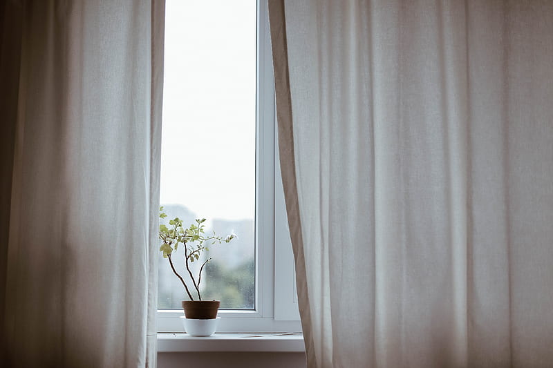 flower, pot, window, curtains, minimalism, HD wallpaper