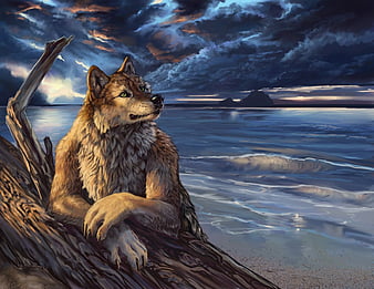 HD wolf of the seas wallpapers | Peakpx