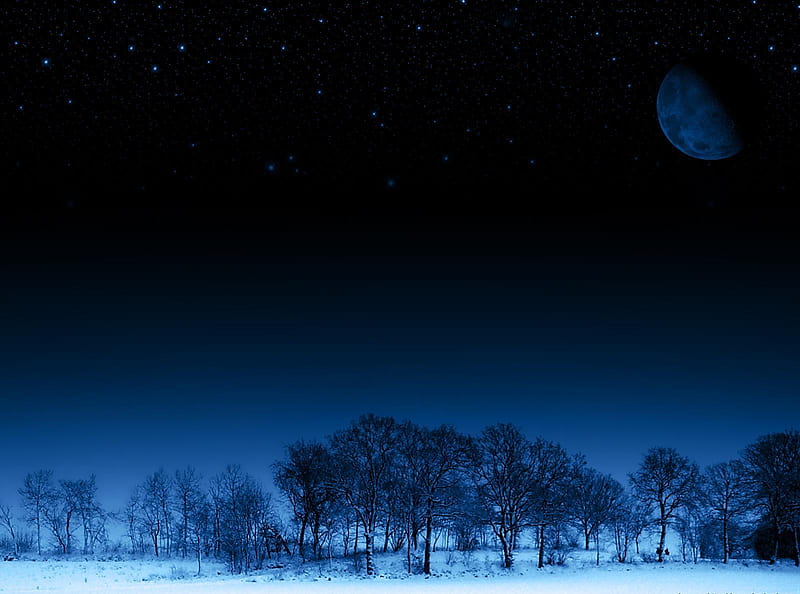 Obscure, customized, 3d and cg, trees, abstract, sky, winter, moon, snow,  ice, HD wallpaper | Peakpx
