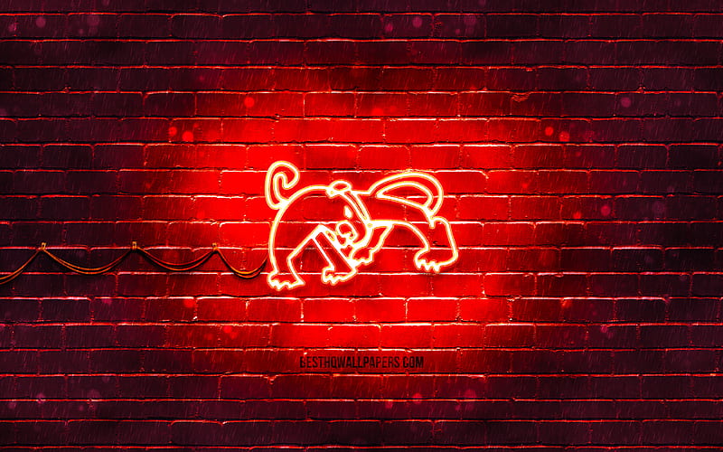 Tiger neon sign chinese zodiac, red brickwall, Tiger zodiac, animals signs, Chinese calendar, creative, Tiger zodiac sign, Chinese Zodiac Signs, Tiger, HD wallpaper