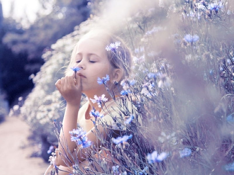 Sweet Smell of Summer, smelling, girl, flowers, adorable, child, sweet, HD wallpaper