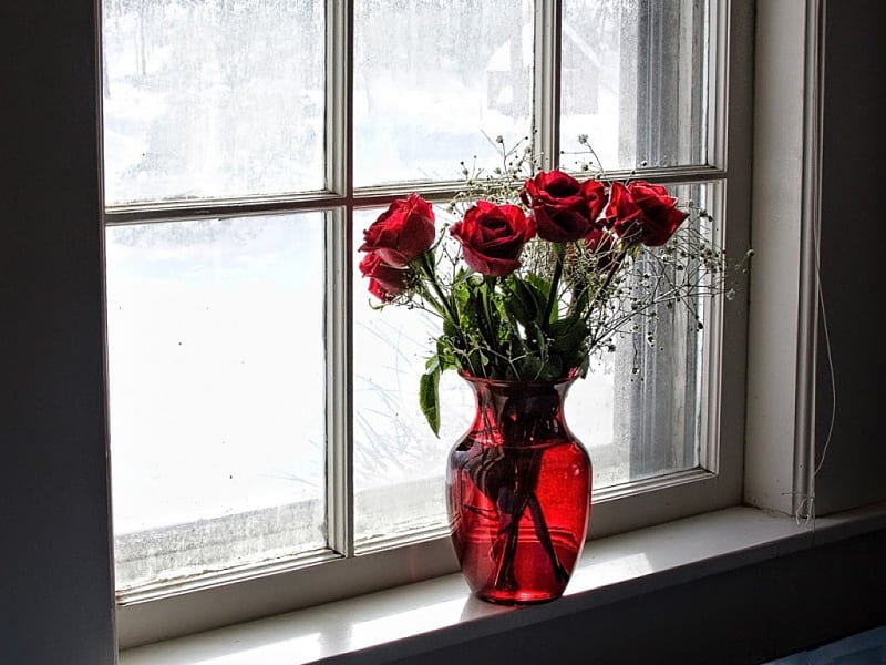 A BIT OF SUNLIGHT, red, romance, roses, window sills, windows, rosebuds, glass, vases, babies breath, light, HD wallpaper