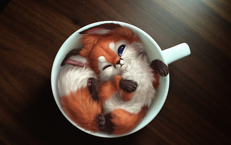 A cup of fox, frumusete, vulpe, luminos, fox, cup, silverfox5213, animal, orange, cute, white, HD wallpaper
