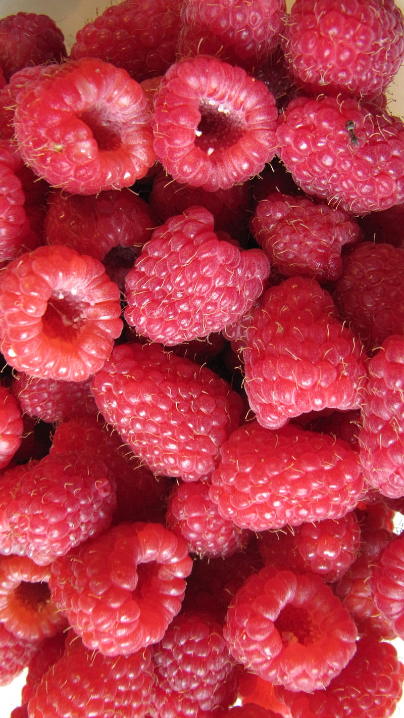 Raspberries, fruit, perfume, raspberry, red, spring, sweet, HD phone wallpaper