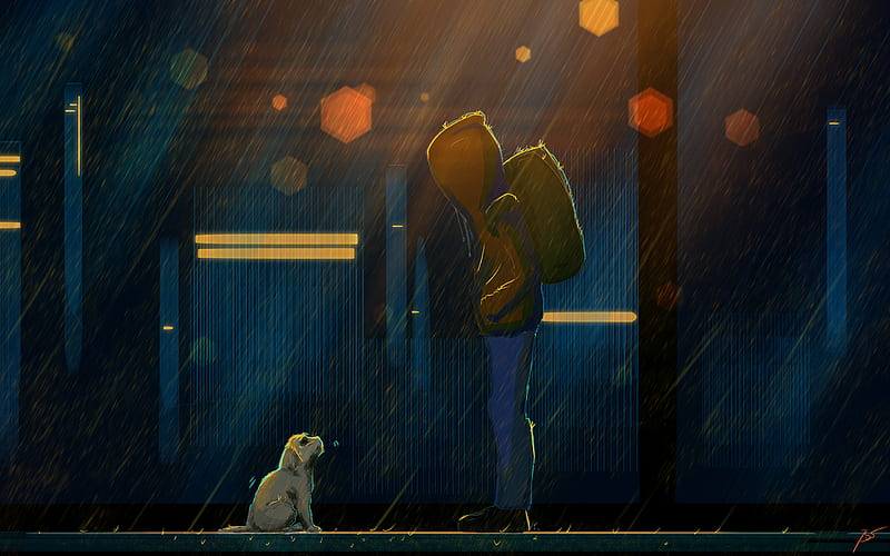 Stray Dogs, artist, artwork, digital-art, , dogs, alone, rain, HD wallpaper