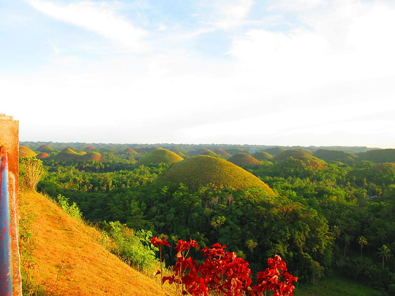 Chocolate Hills, Bohol, Philippines, forest, nature, fun, field, HD wallpaper