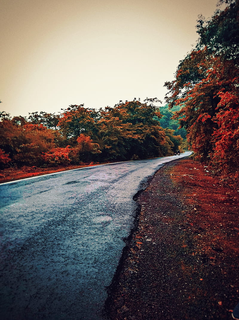 Mehfil a sawari, barish, mansoon, nature, road, roadride, HD phone wallpaper