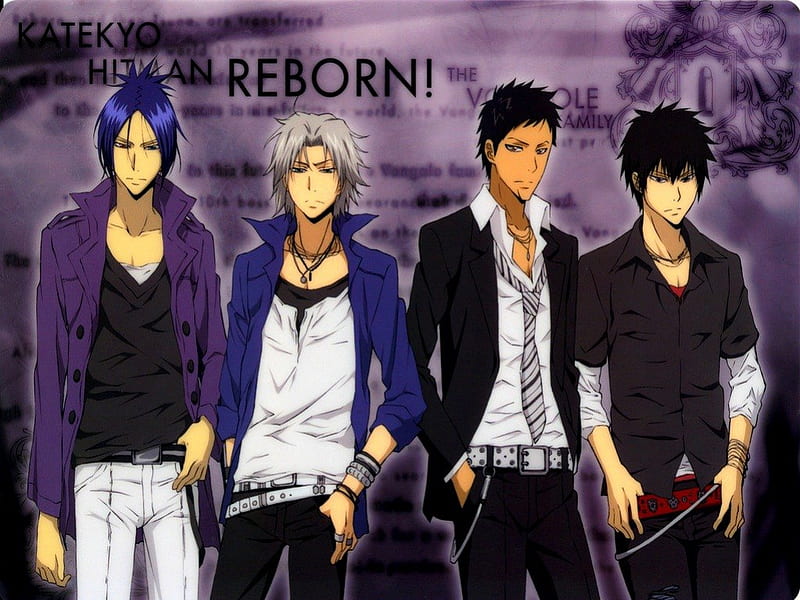 hitman reborn gokudera