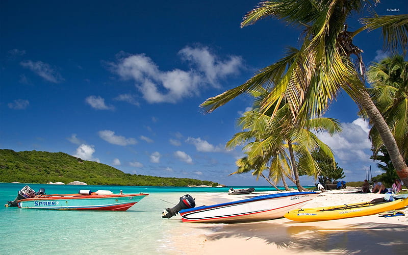 tobago, beach, palm, boat, HD wallpaper