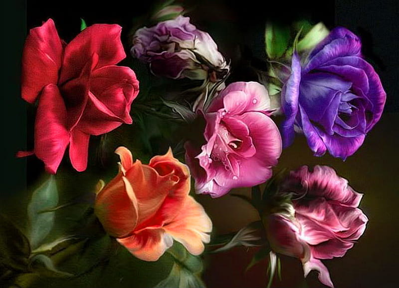 Blooms for Barb, red, leaves, purple, flowers, colors, peach, roses, pink, HD wallpaper