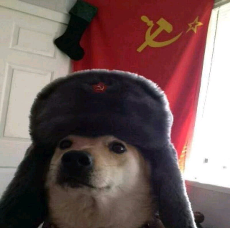 Comrade Dog, comrade, dog, communism, soviet union, ussr, HD wallpaper