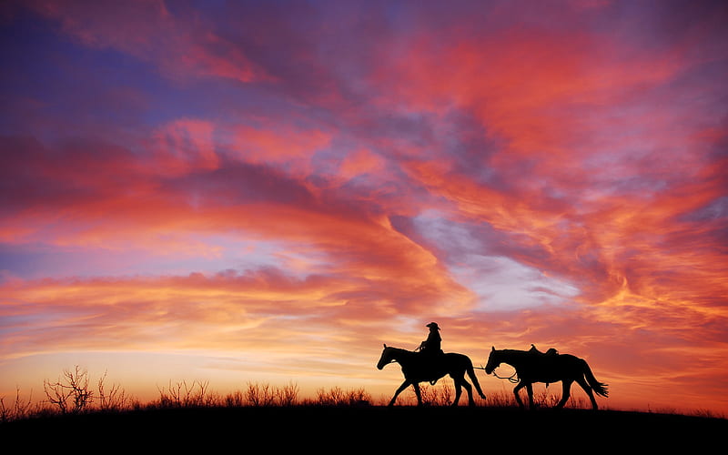 cowboy, sunset, sky, field, horses, Landscape, HD wallpaper