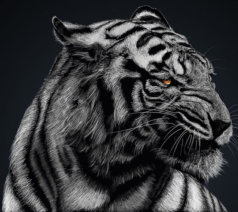 Tiger , animal, eye, face, red, HD wallpaper