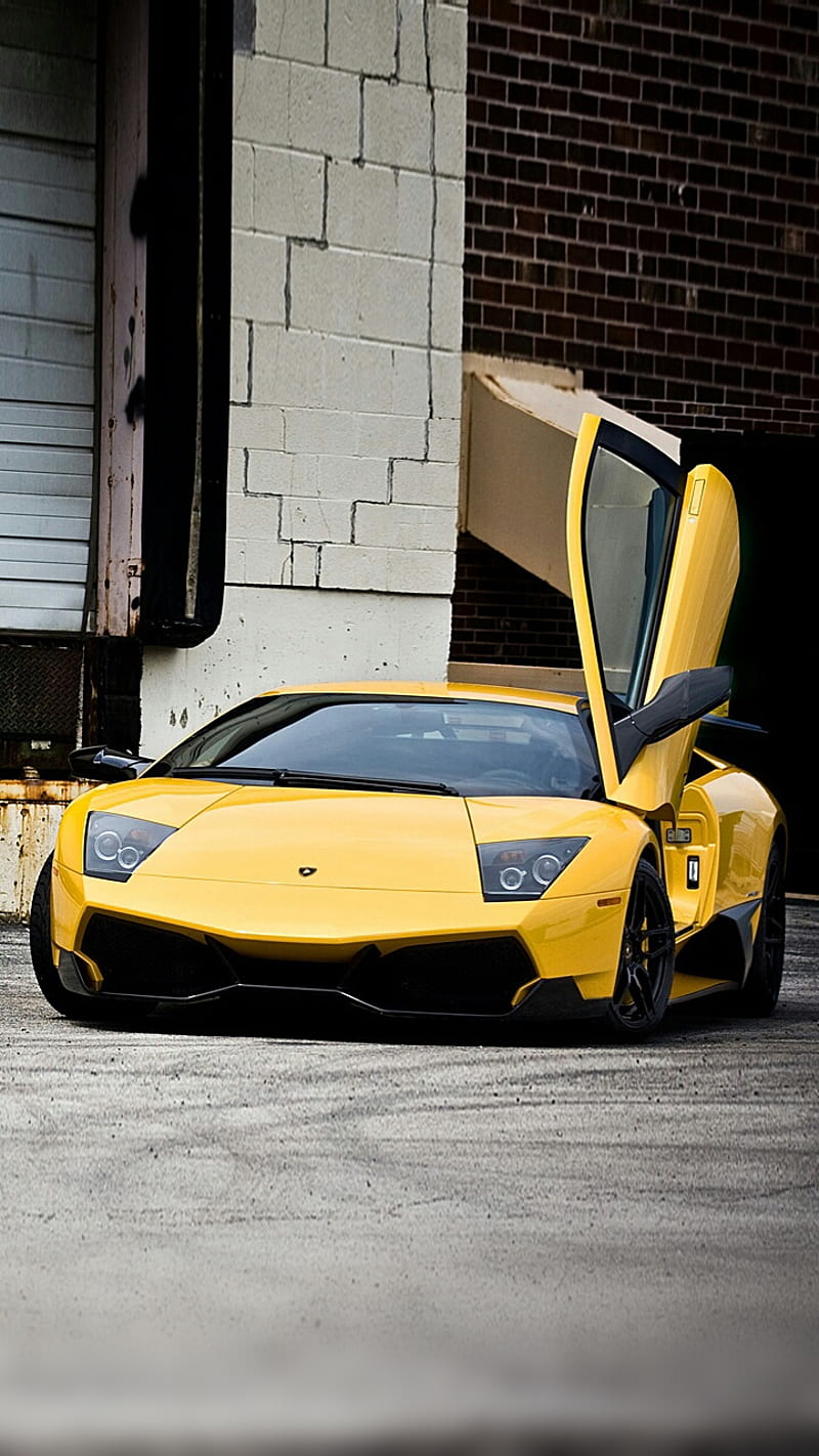 Murcielago , lamborghini, supercar, HD phone wallpaper