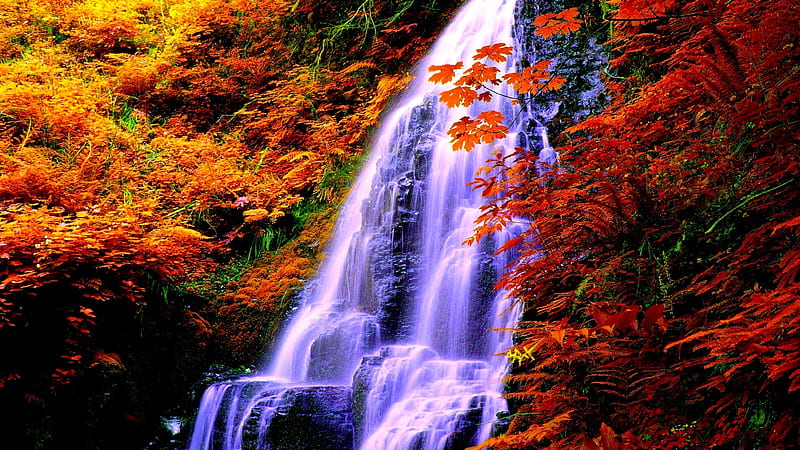 Autumn Waterfall, Fall, rocks, plants, waterfall, branches, Autumn ...