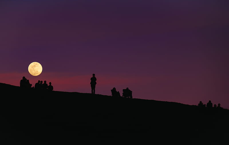 silhouette of group of people under purple night sky, HD wallpaper