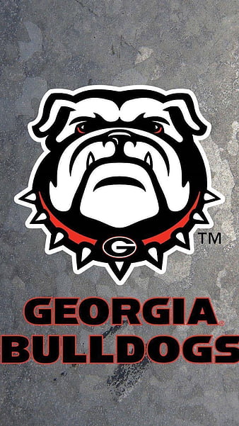 Georgia Bulldogs National Champions Downloadable Wallpaper