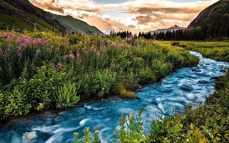 River,Colorado,Usa, Mountain, Flowers, Nature, River, HD wallpaper