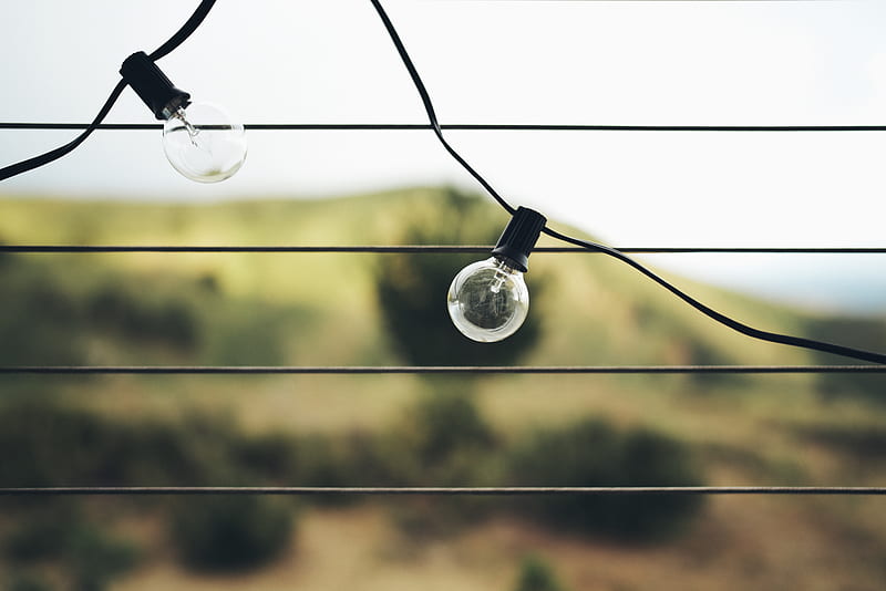clear light bulb on black wire, HD wallpaper