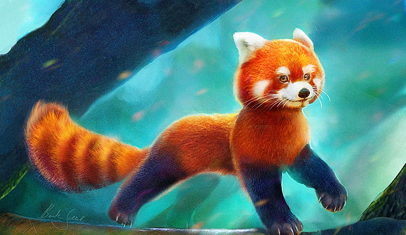 Red panda, cute, art, fantasy, bente schlick, orange, animal, blue, HD wallpaper