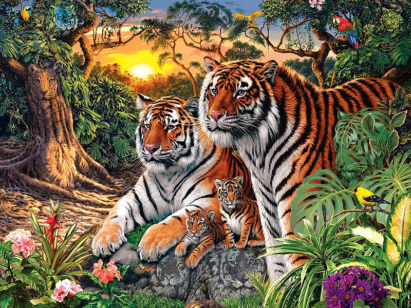 Jungle Pride, wild, family, big, jungle, puzzle, pride, tiger, cats, HD wallpaper