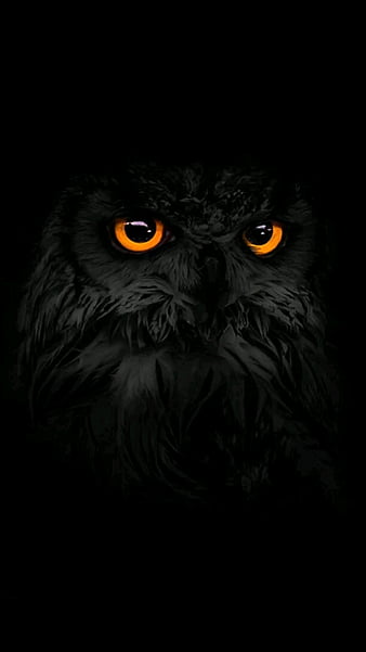 HD black owl wallpapers | Peakpx