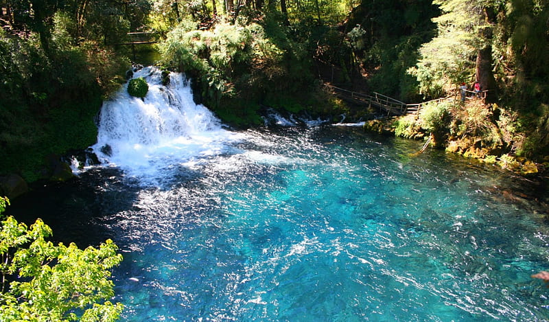 Lake Caburgua, forest, turquoise water, Chile, waterfall, bonito, trees, lake, HD wallpaper