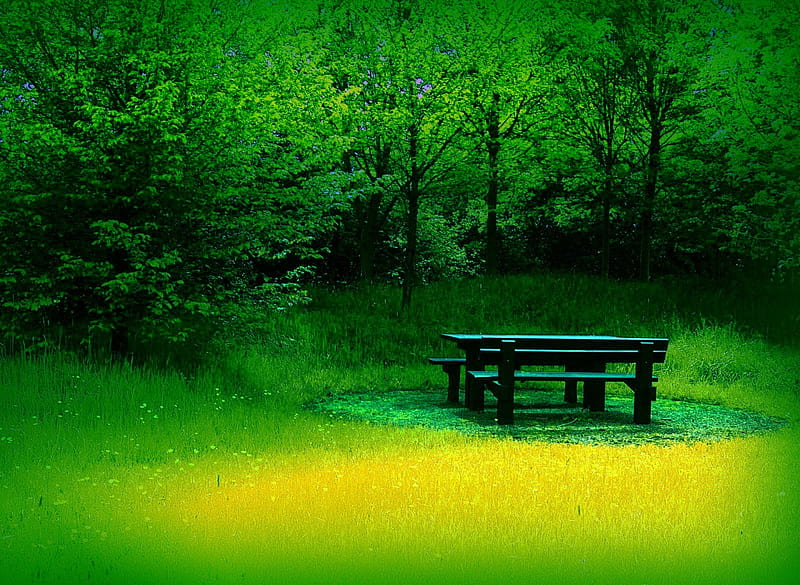 Refuge Garden, sun, grass, background, yellow, cenario, sundown, nice,  refuge, HD wallpaper | Peakpx