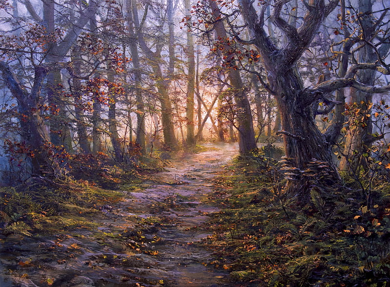 forest, path, autumn, landscape, art, HD wallpaper