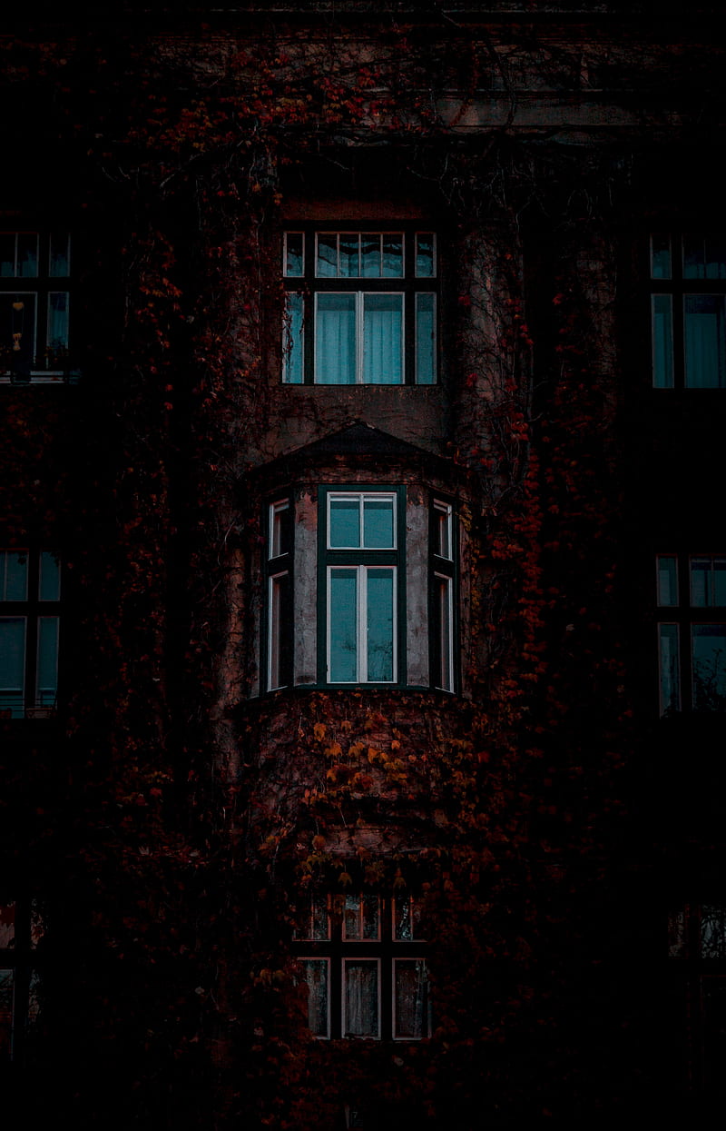 facade, windows, building, leaves, dark, HD phone wallpaper