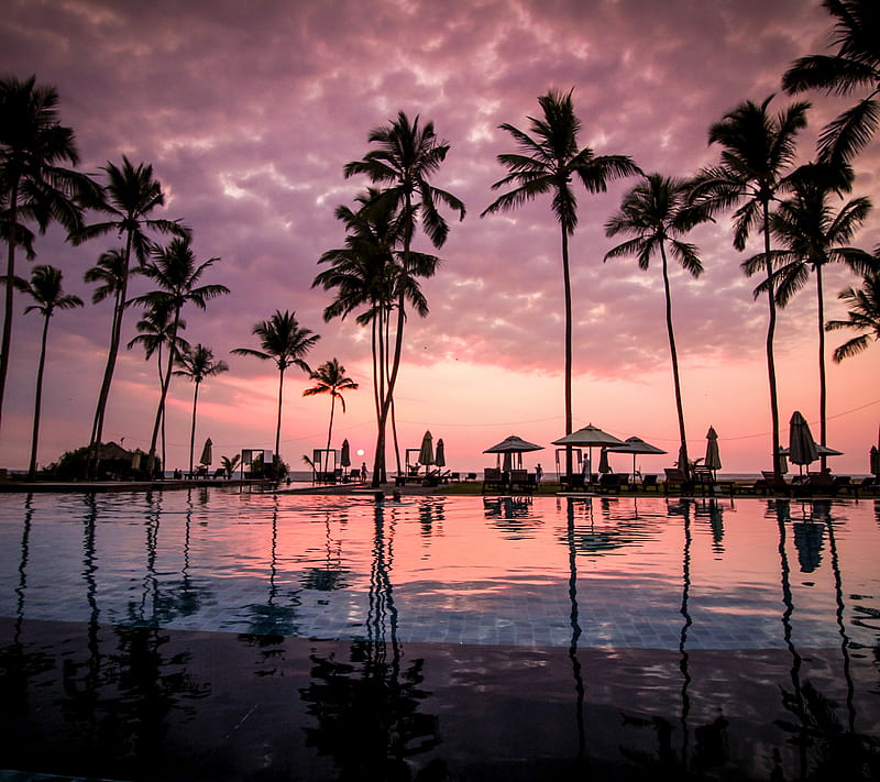 Beach sunset, new, nice, palm, paradise, swimming pool, vacation, HD wallpaper