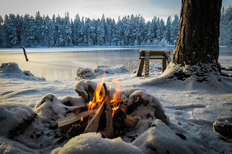 A camp fire at a frozen lake, river, winter, lake, forest, camp, bench, bonito, fire, tree, snow, frozen, frost, HD wallpaper
