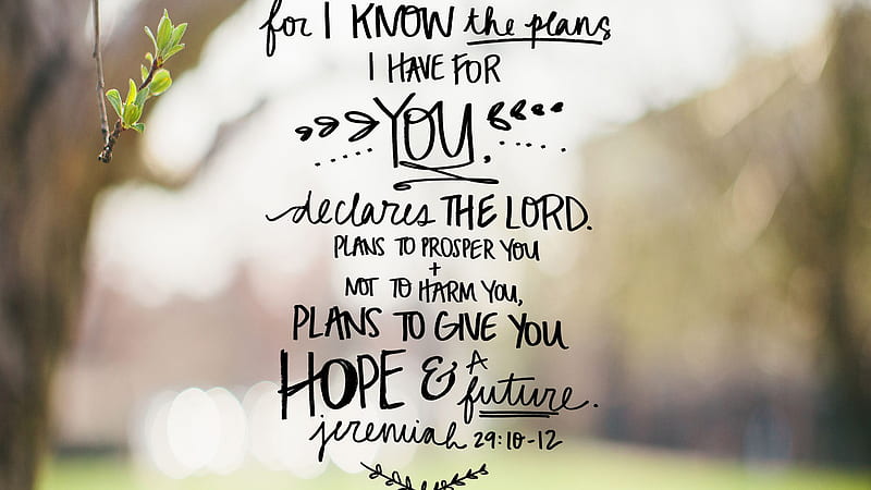 For I Know The Plans I Have For You Declares The Lord Bible Verse, HD wallpaper