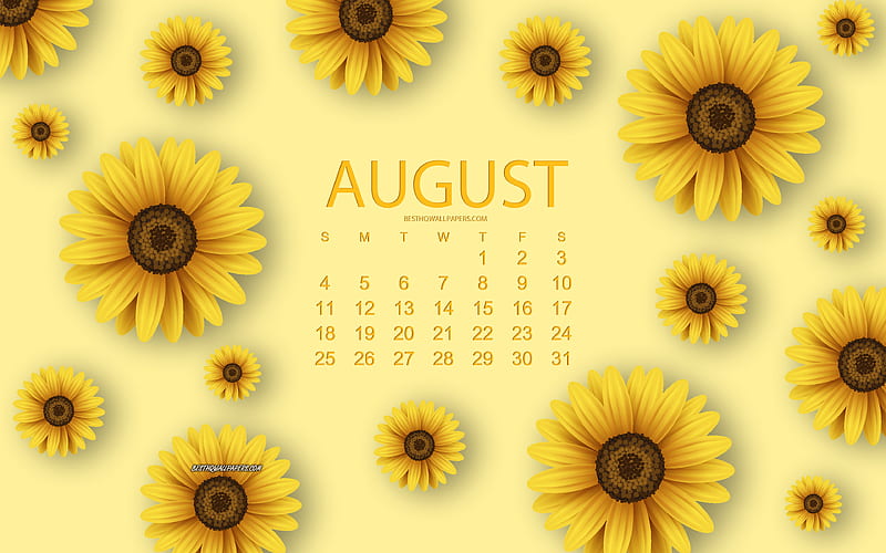 2019 August Calendar, yellow background, yellow flowers, creative art, yellow floral background, 2019 calendars, August, summer, calendar for 2019 August, HD wallpaper