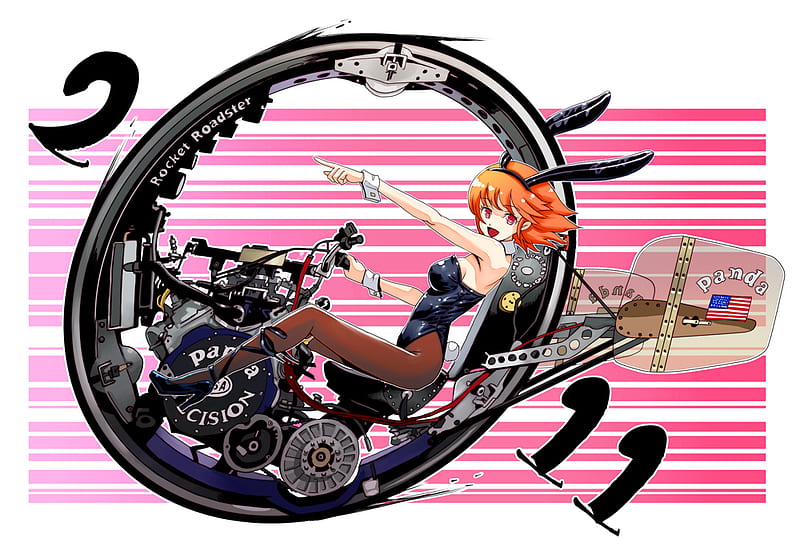 Go!~, kemonomimi, vehicle, rabbit, usamimi, year, riding, american, flag, monowheel, cool, girl, bunny, 2011, HD wallpaper