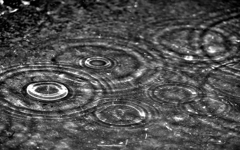 Rain had the tendence to be wet, water, raindrops, black and white, drops, rain, HD wallpaper