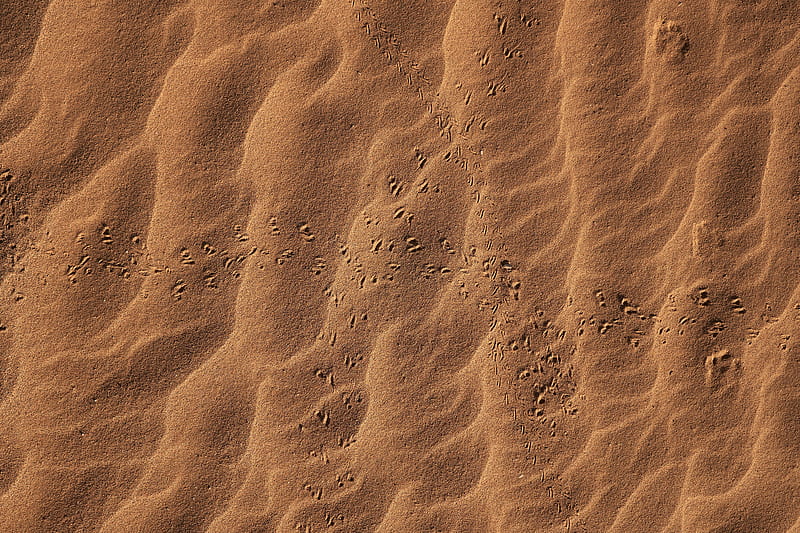 sand, footprints, desert, texture, HD wallpaper