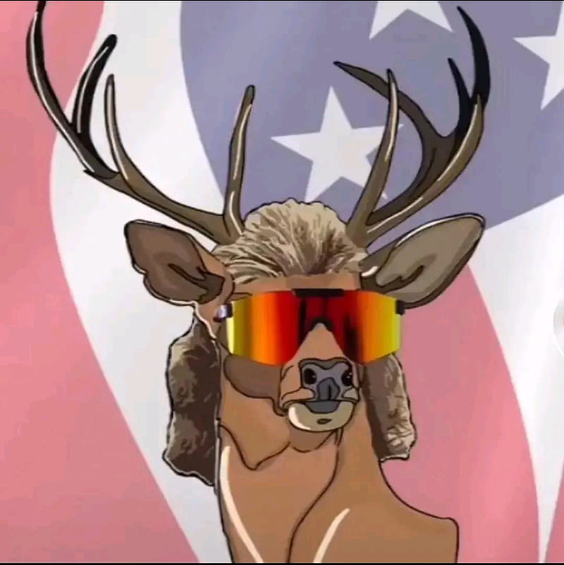 Buck , redneck, HD phone wallpaper