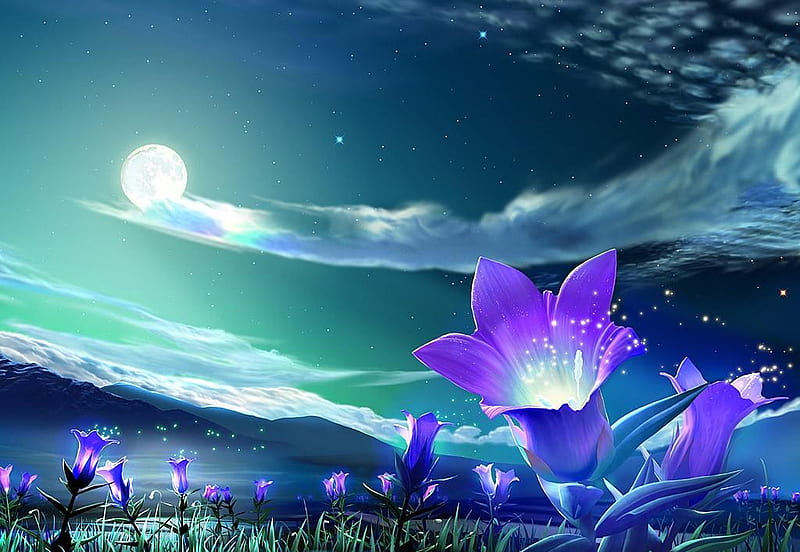 Midnight Flower, fantasy, blossom out, flower, midnight, fullmoon, HD wallpaper
