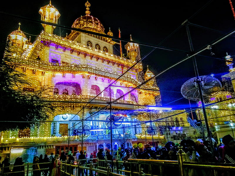 Golden temple, amazing, amritsar, harmandir sahib, lights, night, HD  wallpaper | Peakpx