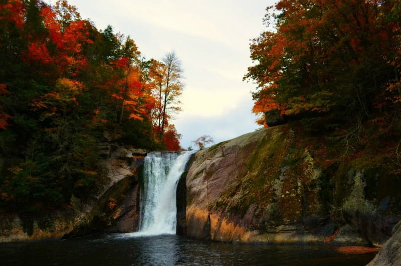 Elk River Falls, bonito, Autumn colors, Waterfall, North Carolina, HD wallpaper