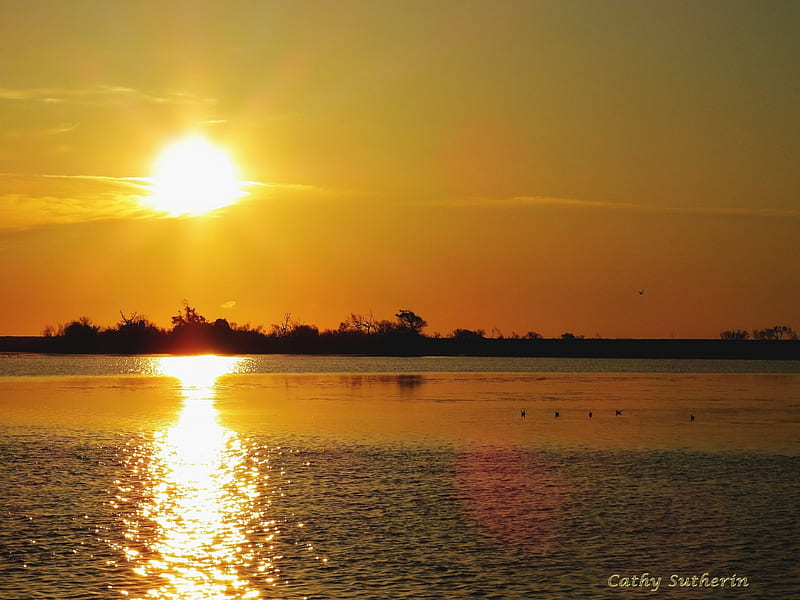 A Golden Sunset on the Bay, sun, birds, sunset, sky, clouds, waterfowl, gold, water, nature, reflection, marsh, bay, HD wallpaper