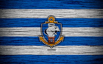 CD Antofagasta logo, grass texture, Chilean football club