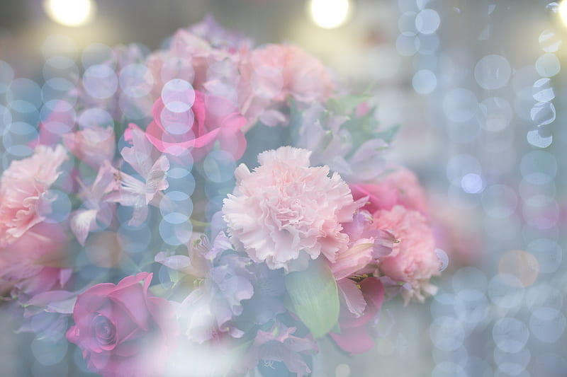 Pastel floral , flowers, pastel, carnations, glimmer, light, floral, HD wallpaper