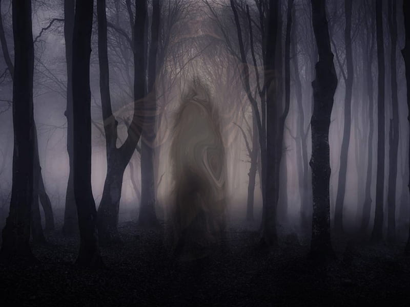 Shadow Walker Woods, dark, forest, reaper, shadowwalker, woods, HD wallpaper