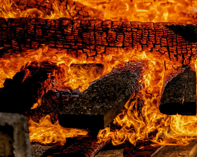 bonfire, flame, firewood, coals, HD wallpaper